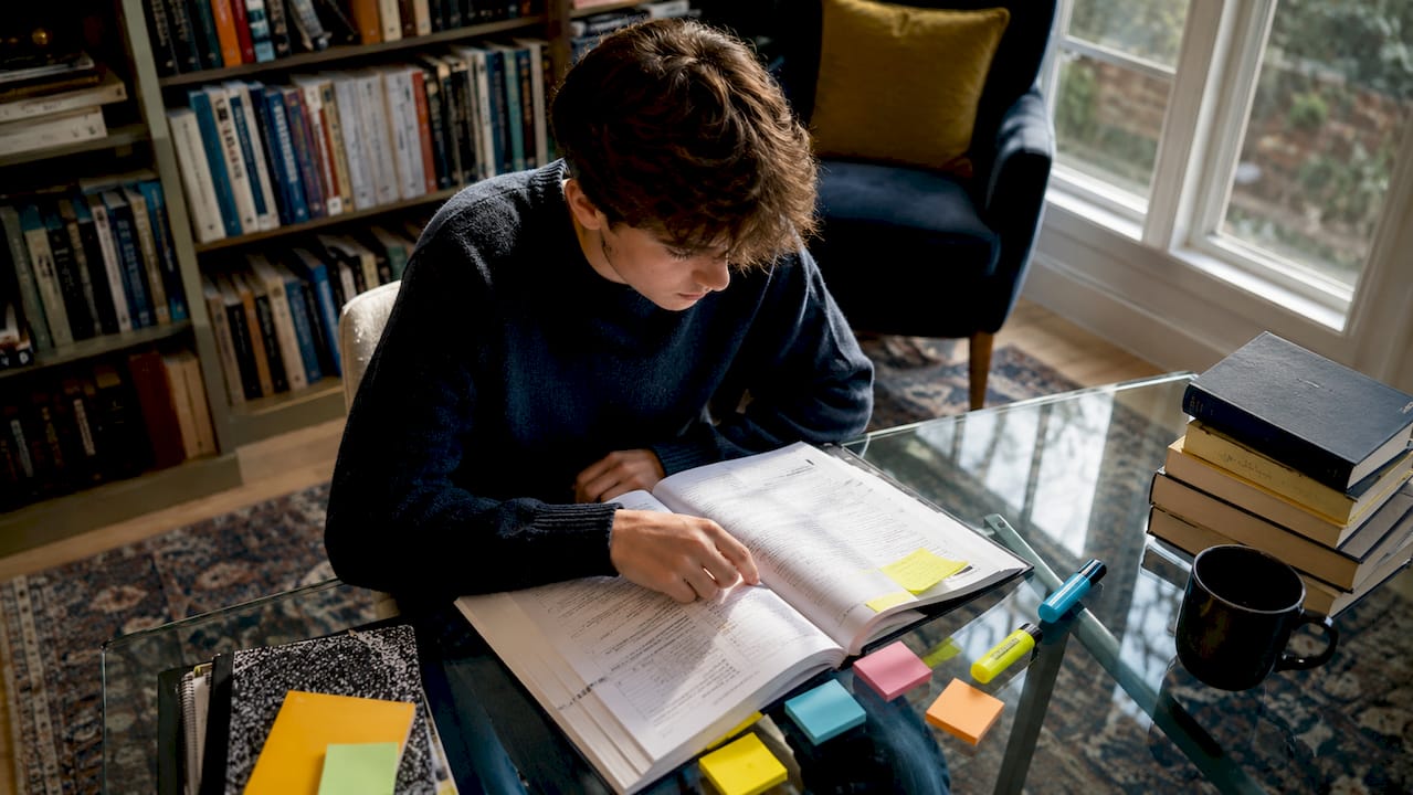 ELA Standardized Test Prep Guide for High Schoolers